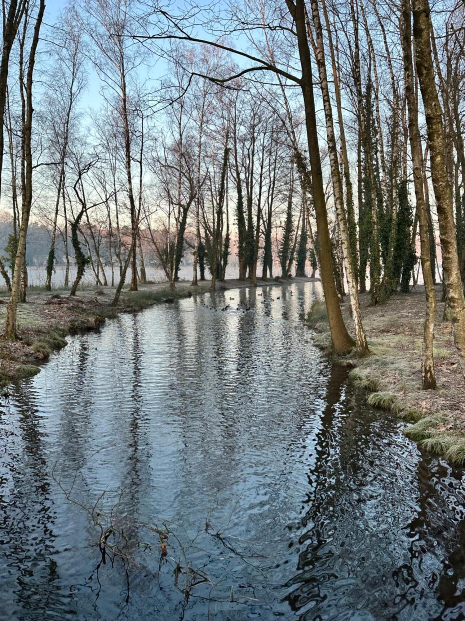 Vakantiewoning Waag Rekem Kültér fotó